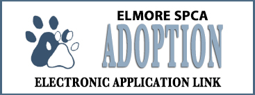 link to electronic adoption application