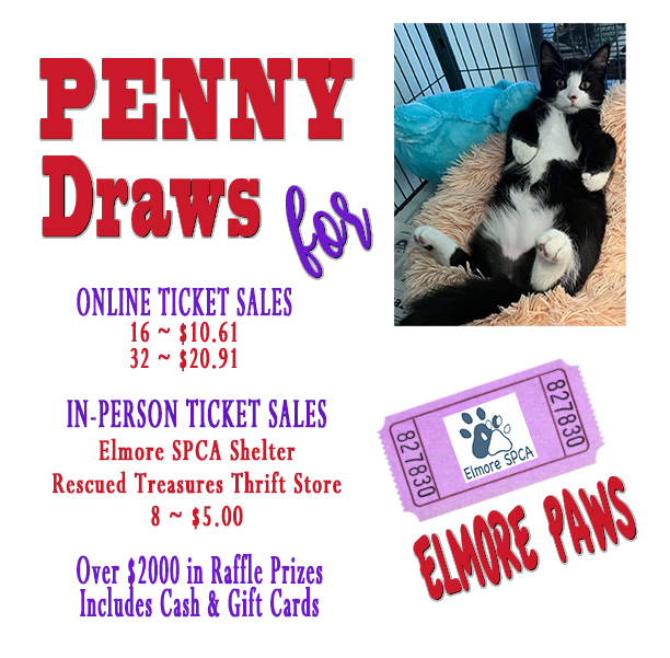 2024 Penny Draws for Elmore Paws